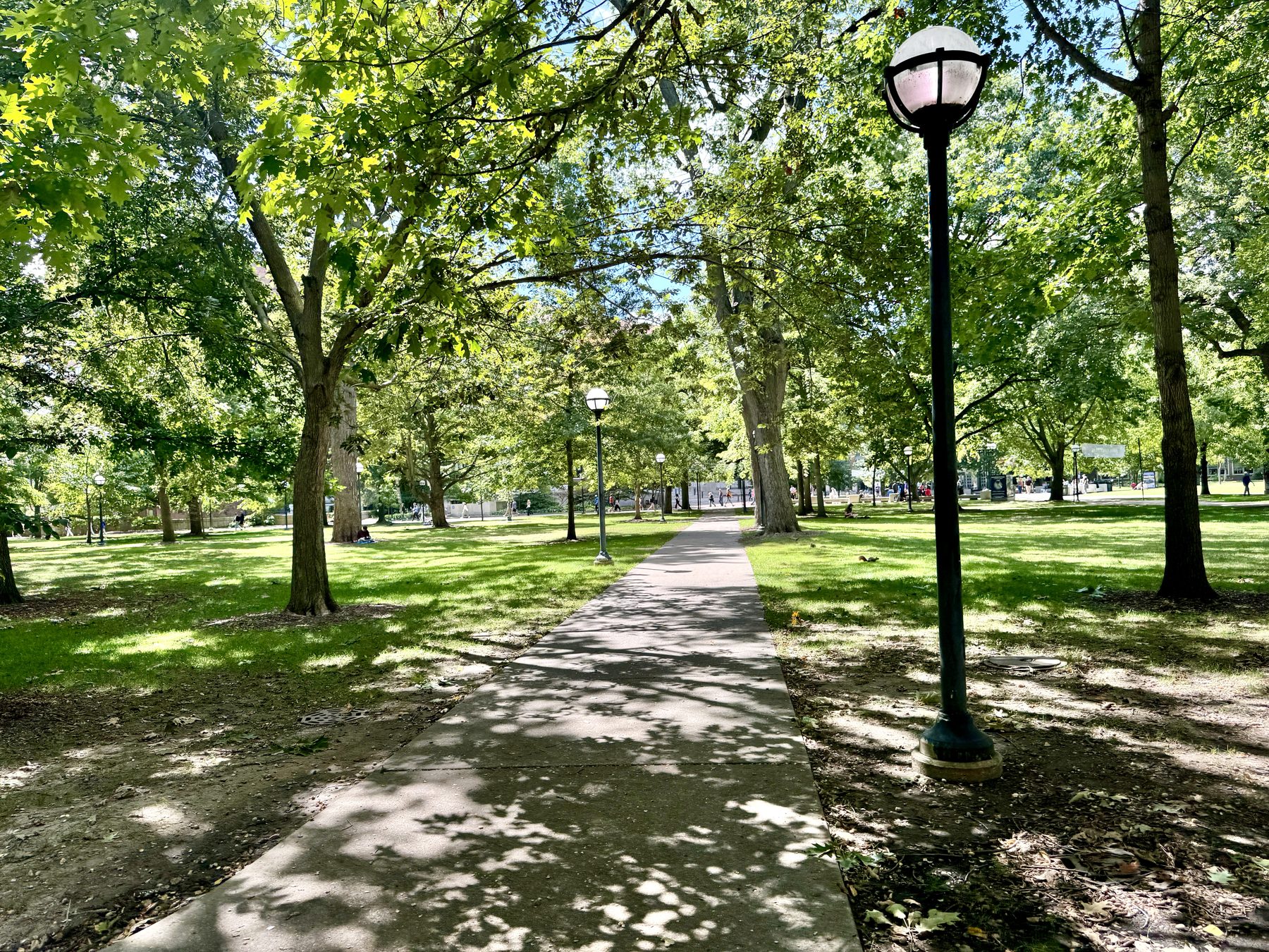 Walking the University of Michigan Diag
